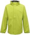 RG142 Classic Fleece Keylime / Seal Grey colour image